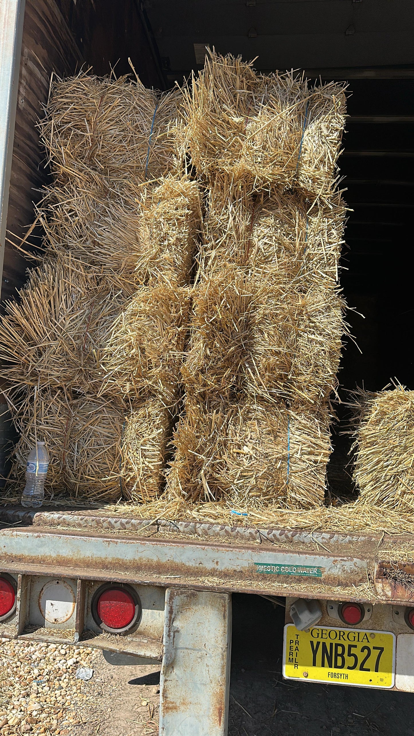 Wheat Straw