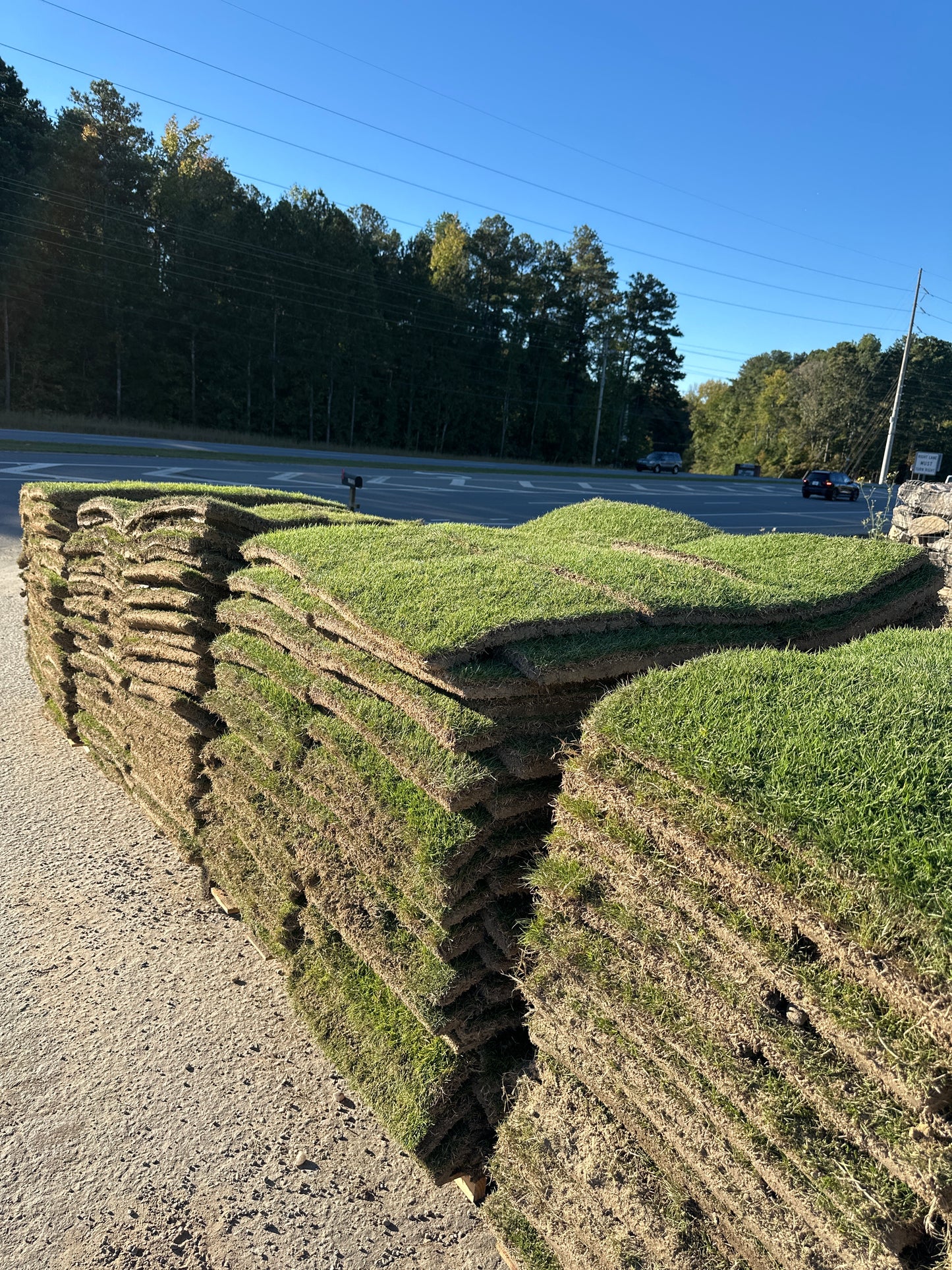 Zeon Zoysia | 450 sq ft | PER PALLET (Pre-Paid Order) Delivery scheduled 3 days from your order date
