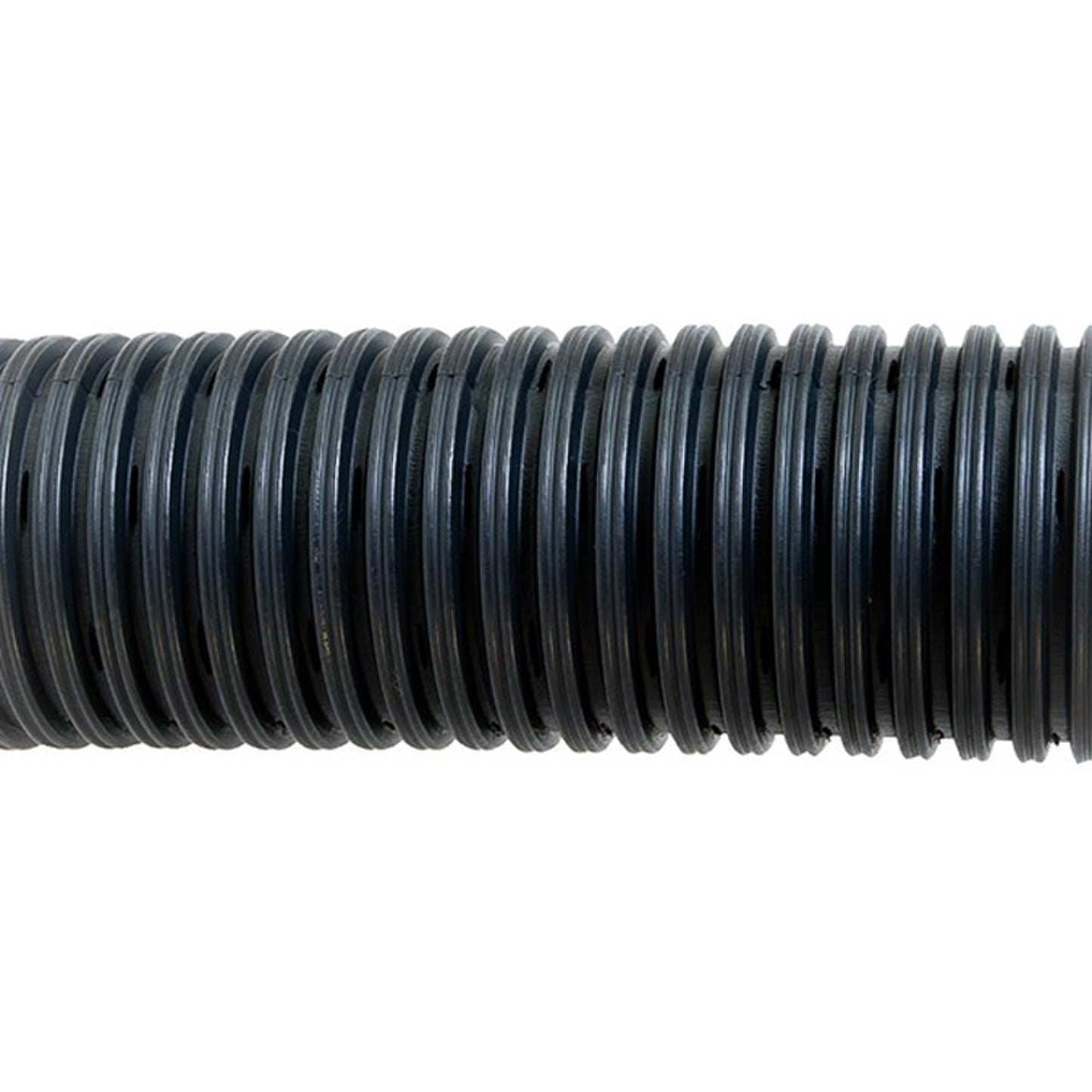 4" Pipe : 4" Pipe Perforated 10'