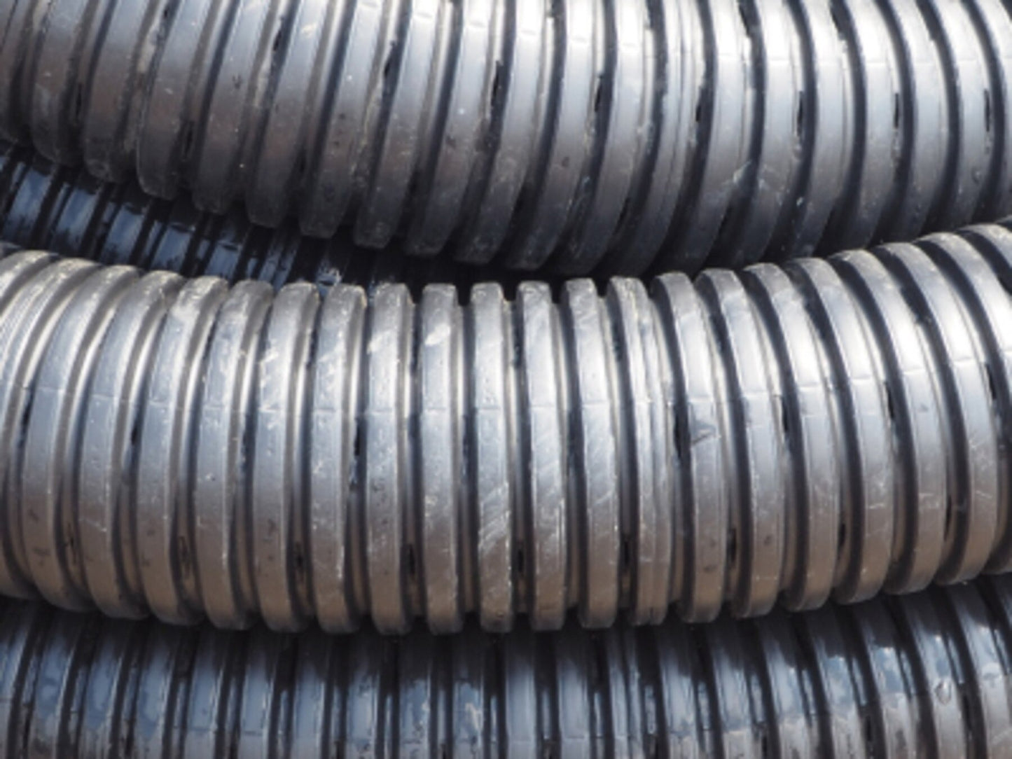 6" Pipe : 6" Pipe Perforated 100'  | 100 Feet