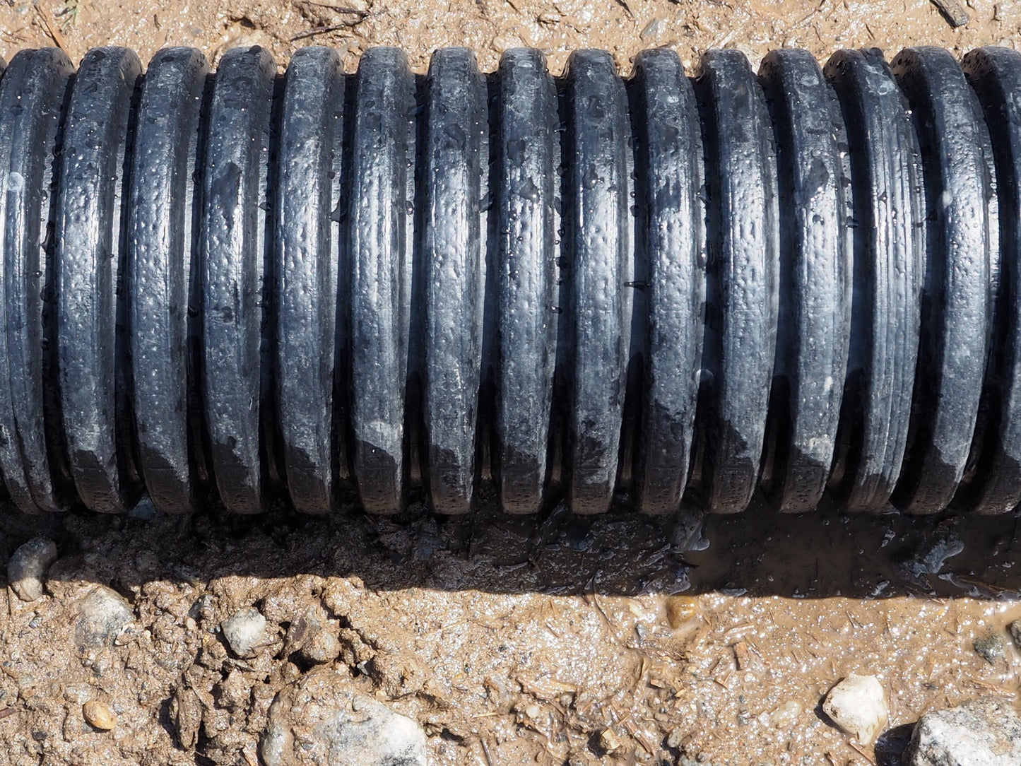 6" Pipe : 6" Pipe Solid 10'  |