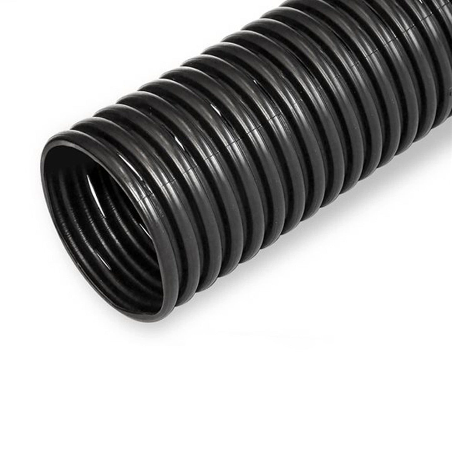 6" Pipe : 6" Pipe Perforated 10'  | 10 Feet