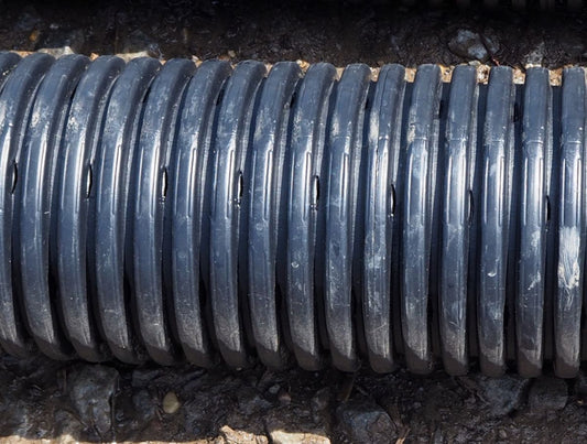 6" Pipe : 6" Pipe Perforated 10'  | 10 Feet