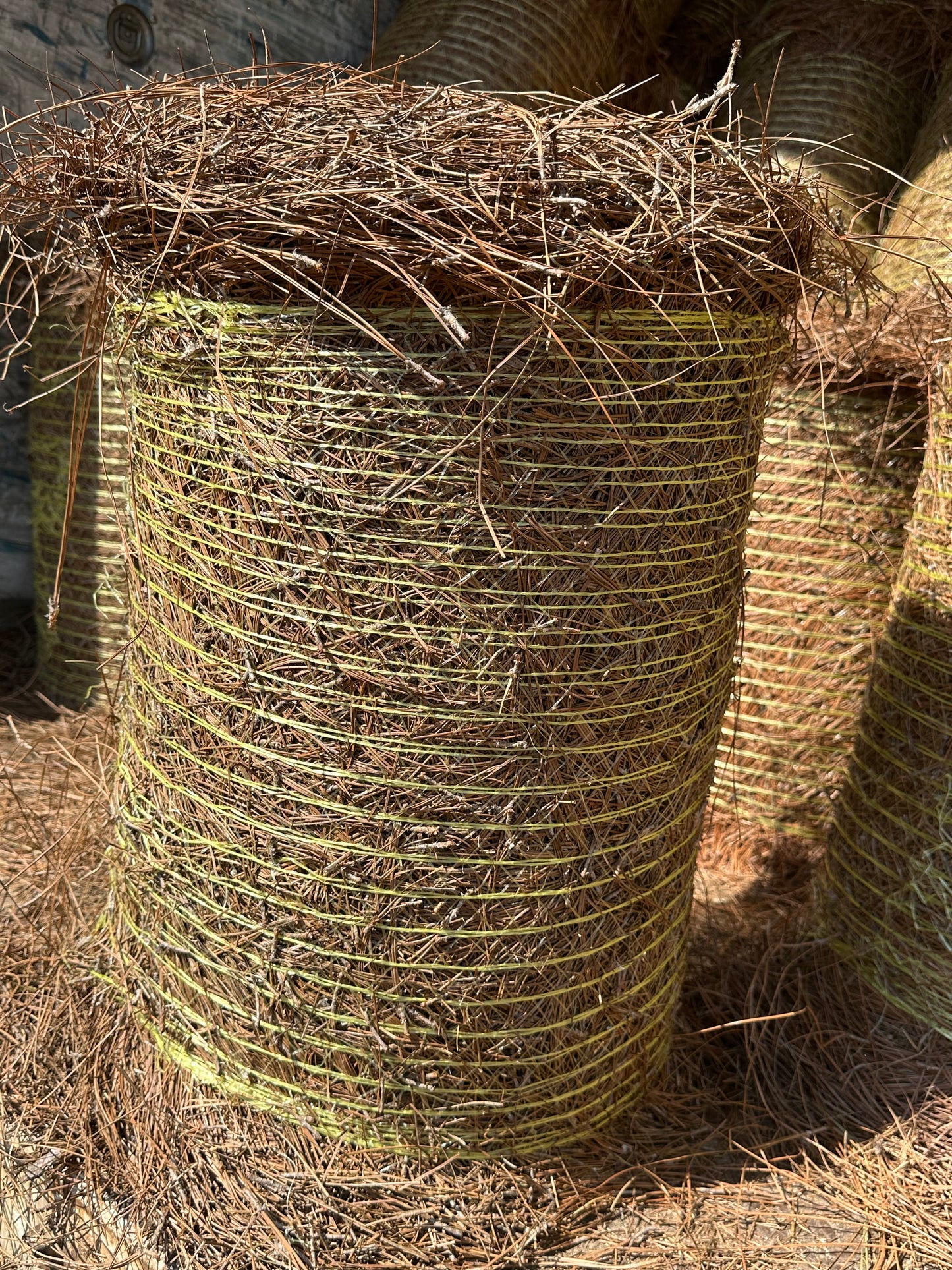 Longleaf Pine Straw Roll