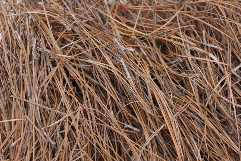 Delivery Only -  Mix and Match Products.