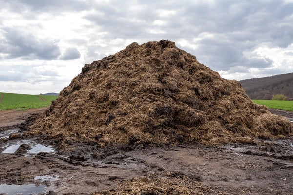 Premium Organic Cow Manure Fertilizer