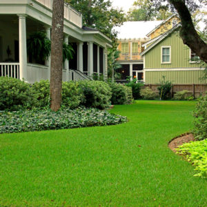 Emerald Zoysia | 500 sq ft | PER PALLET (Pre-Paid Order)