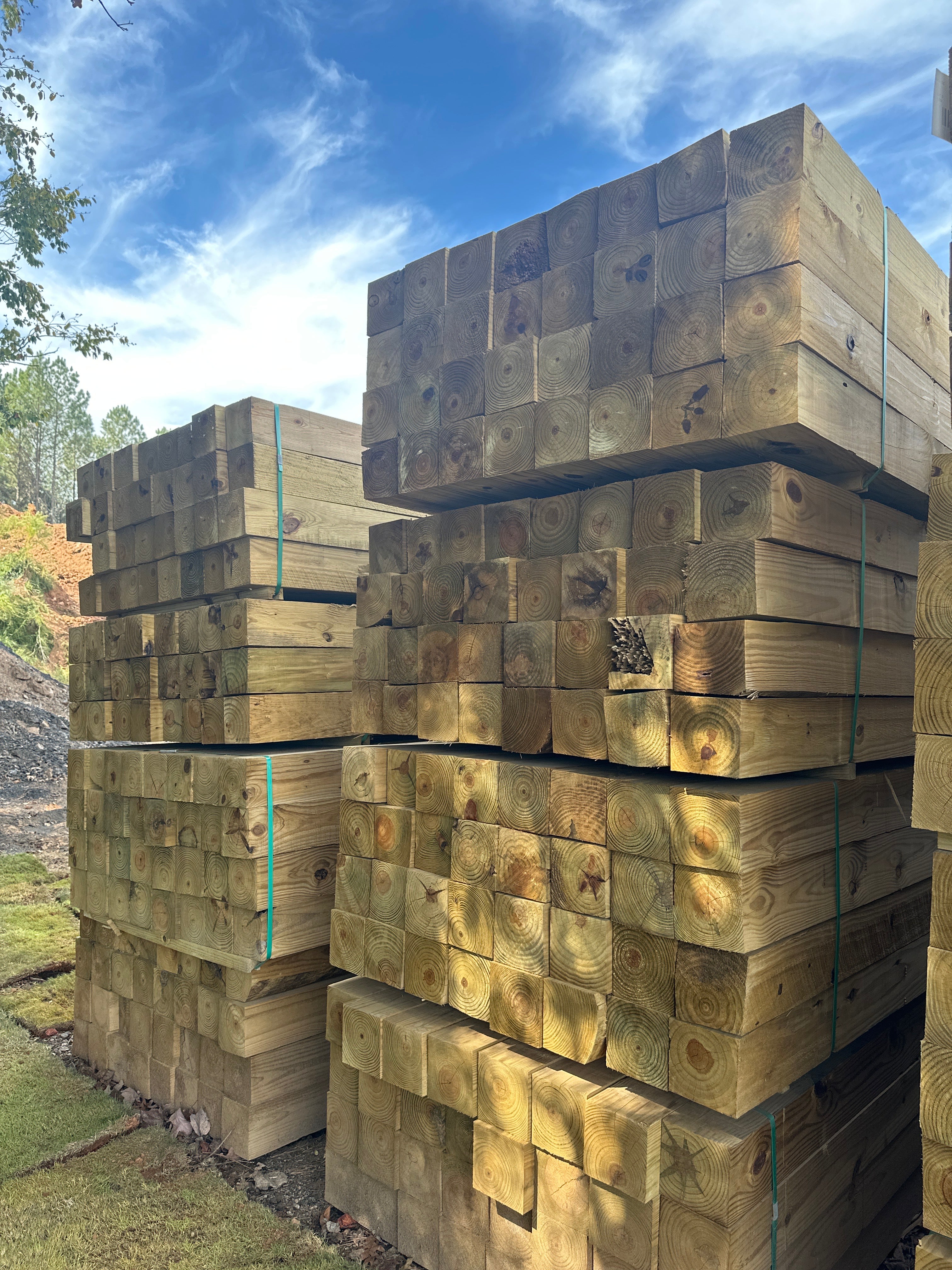 Pine Timber 6in. x6in x8ft – Golden Landscaping Supply