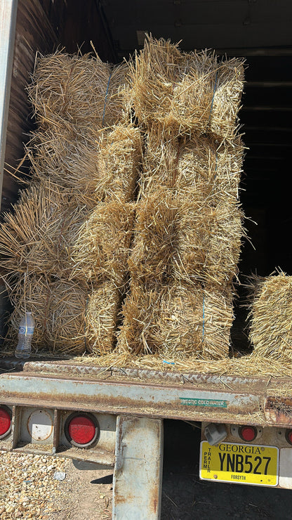 Wheat Straw