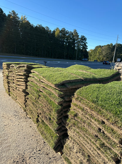 Zeon Zoysia |  450 sq ft | PER PALLET  (Pre-Paid Order) Delivery scheduled 3 days from your order date