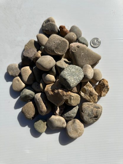 Indian Creek Gravel #4