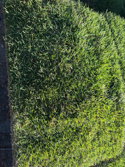 Zeon Zoysia |  450 sq ft | PER PALLET  (Pre-Paid Order) Delivery scheduled 3 days from your order date