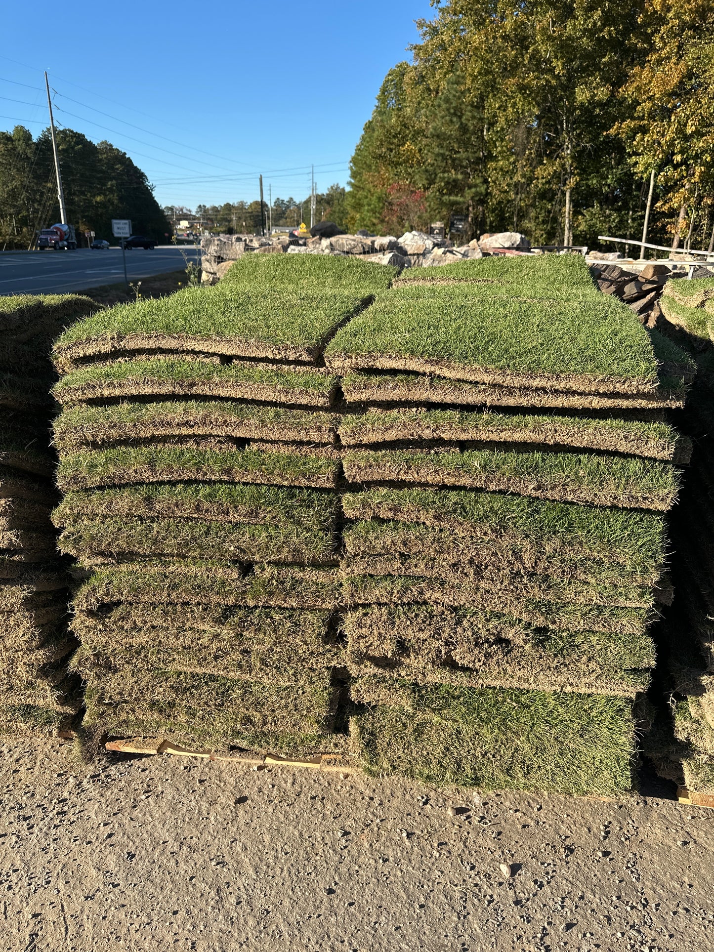 Zeon Zoysia |  450 sq ft | PER PALLET  (Pre-Paid Order) Delivery scheduled 3 days from your order date