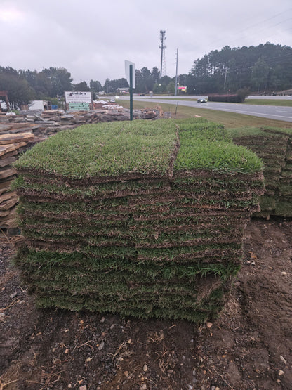 Meyer Zoysia |  504 sq ft | PER PALLET (Pre-Paid Order) Delivery scheduled 3 days from your order date