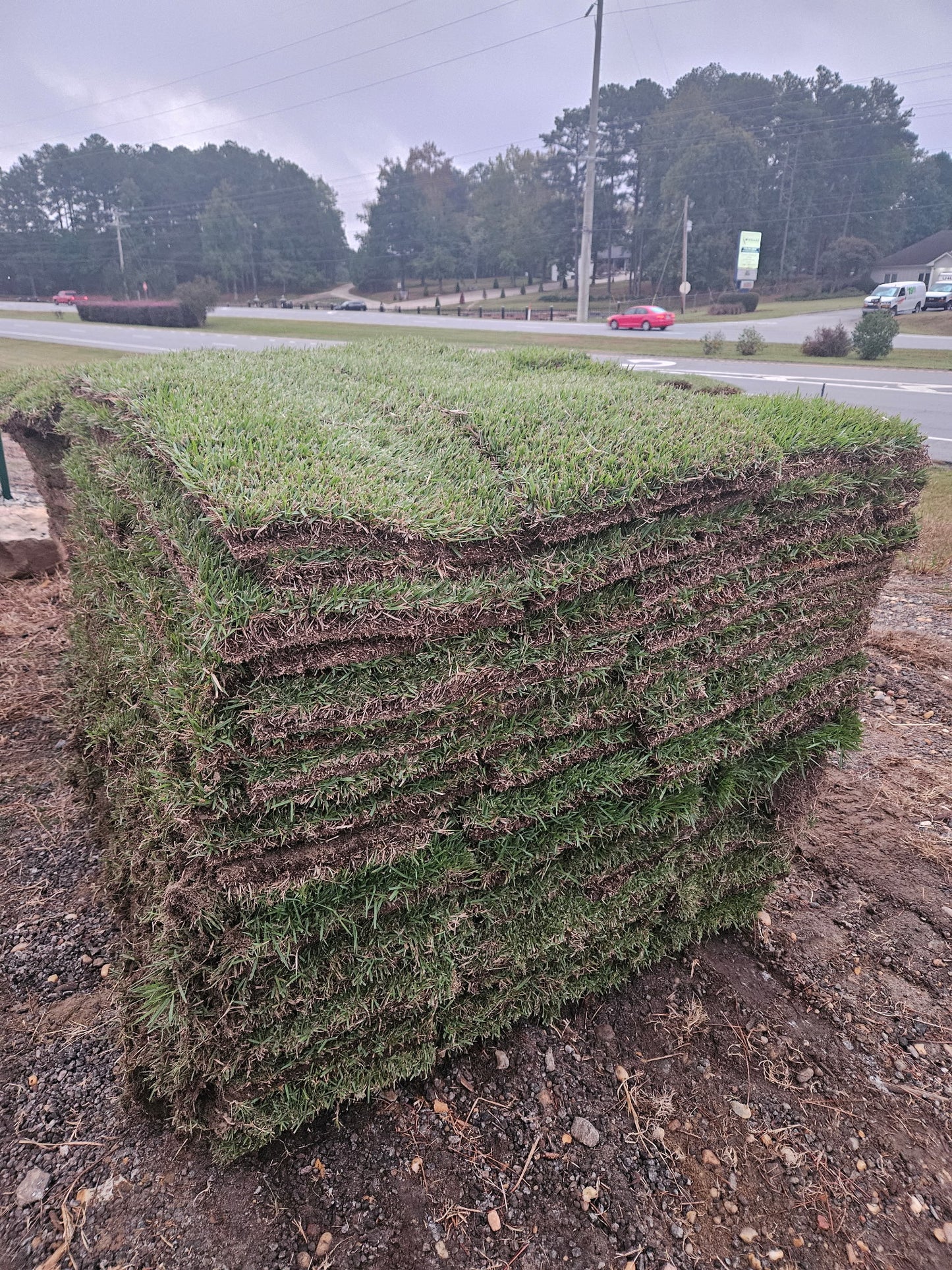 Meyer Zoysia |  504 sq ft | PER PALLET (Pre-Paid Order) Delivery scheduled 3 days from your order date