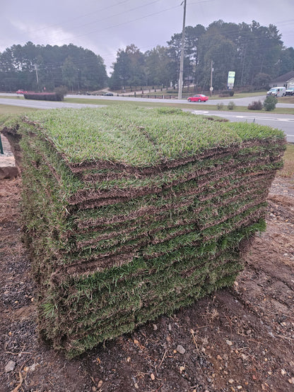 Meyer Zoysia |  504 sq ft | PER PALLET (Pre-Paid Order) Delivery scheduled 3 days from your order date