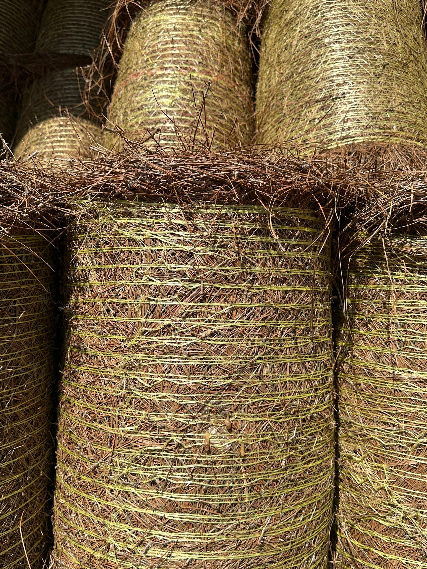 Longleaf Pine Straw Roll