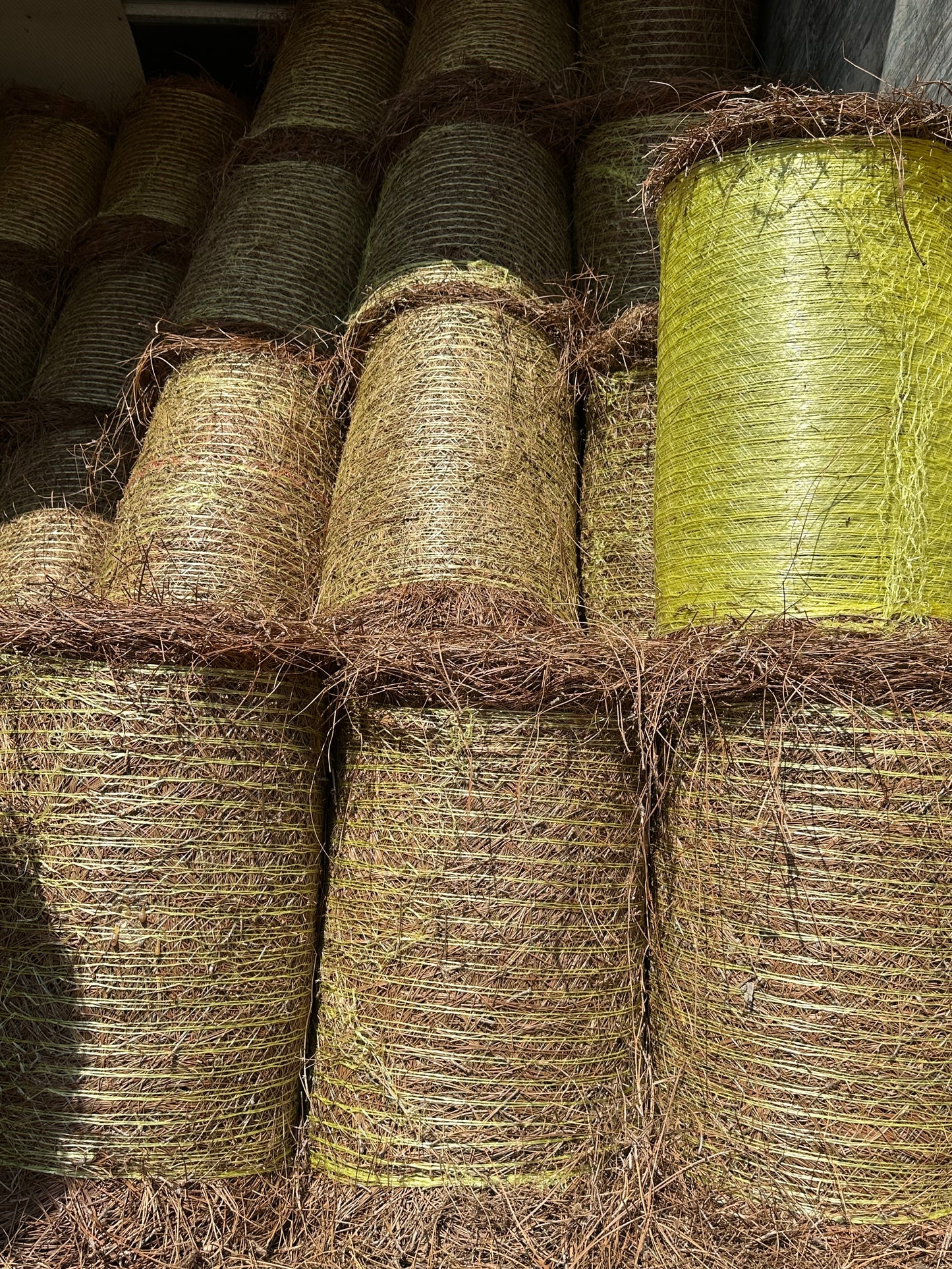 Longleaf Pine Straw Roll